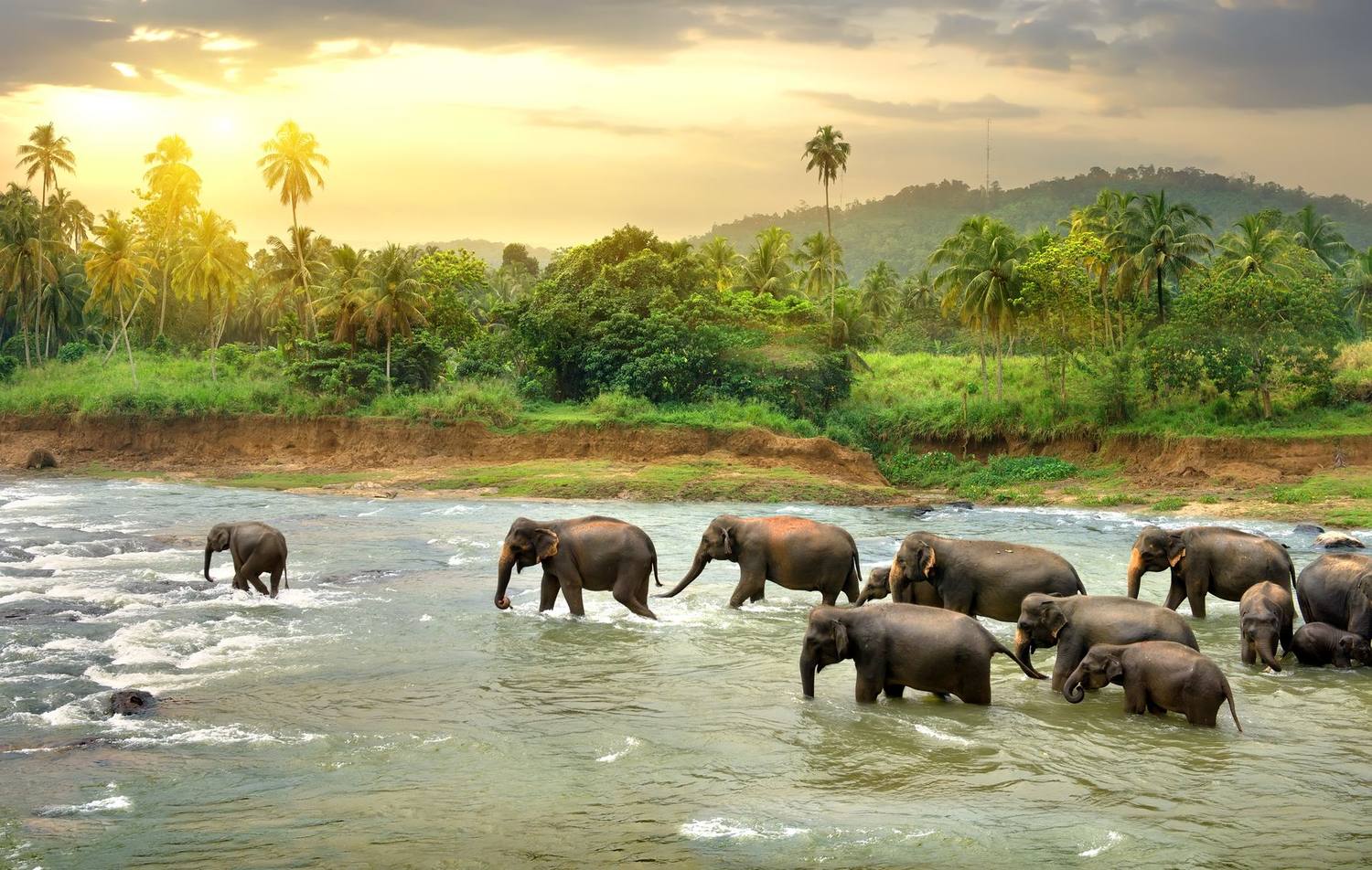 Sri Lanka coastline at golden hour